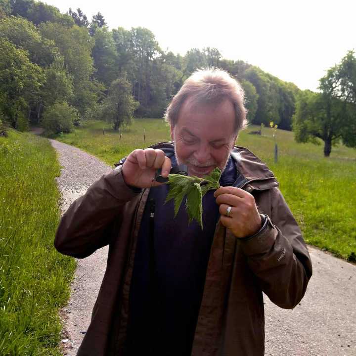 Mann mit Lupe und Brennnnessel