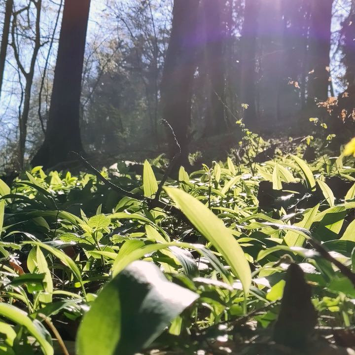 Mann und Frau mit Pflanzen Buch